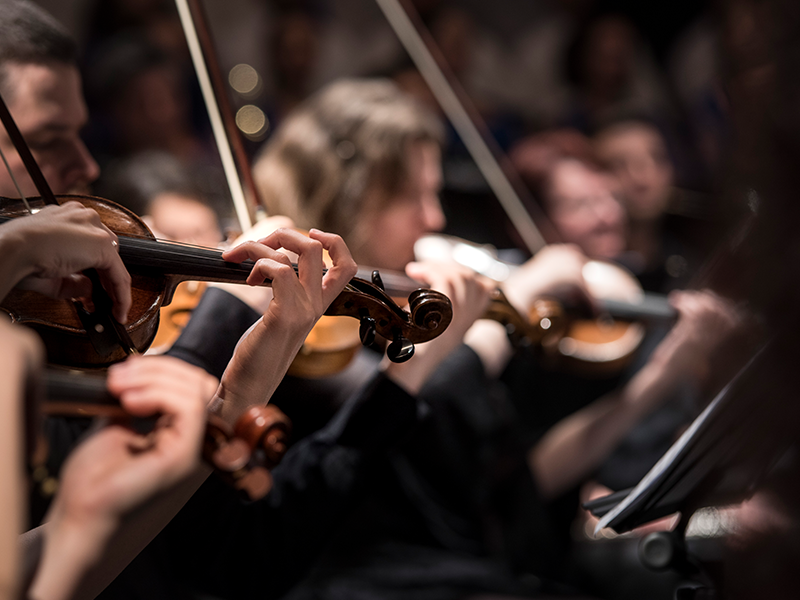 Amateur Orchestra Software